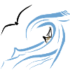wave rider
