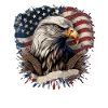 American Patriotic USA Design