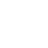 Limited Edition 1991