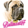 Bullmastiff