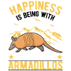 Armadillo Lucky Armadillo