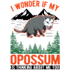 Opossum Geschenk Possum Beutelratte