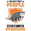 Opossum Gift Possum Marsupial