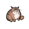 Big Cat Funny sayings