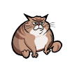 Big Cat Funny sayings