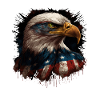 American Patriotic USA Design