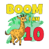 10th birthday giraffe