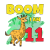 11th birthday giraffe