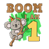 1st birthday koala