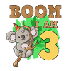 3rd birthday koala