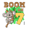7th Birthday Koala