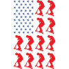 Sport Us Flag Scooter