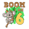 6th birthday koala