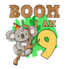 9th birthday koala