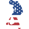 Sport Us Flag Scooter