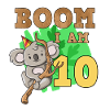 10th birthday koala