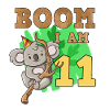 11th birthday koala