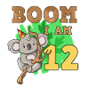 12th birthday koala