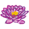 Lotusblüte