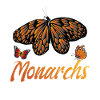 Monach Butterfly Design
