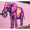 help_for_elephants_04
