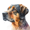 Watercolour Dog / Hund