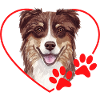 Australian Shepherd in Heart