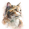 Watercolour Cat / Katze