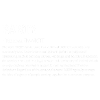 Party definition