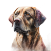 Watercolour Dog / Hund