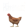 Hühnermutti