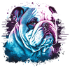 White Bulldog