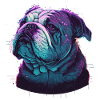 Dark Aged Bulldog