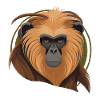 Monkey - Monkey Face