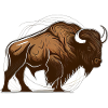 Bison