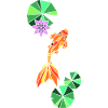 Koi