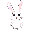 Petit bébé lapin mignon