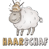 haarschaf