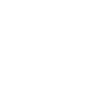 Abu Dhabi - Camel - Caravan