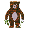 Flower Bear Bear Flowers
