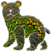 Blumenbär Bär Blumen
