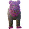 Blumenbär Bär Blumen