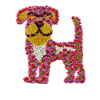 Beautiful flower dog