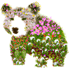 Blumenbär Bär Blumen