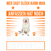 Labrador streicheln