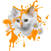 Flower Cat