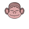 Monkey Head Animal
