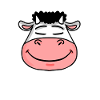Cow Face Head