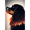 Charles Spaniel Hund Wald