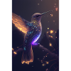 Hummingbird Hummingbird Animal